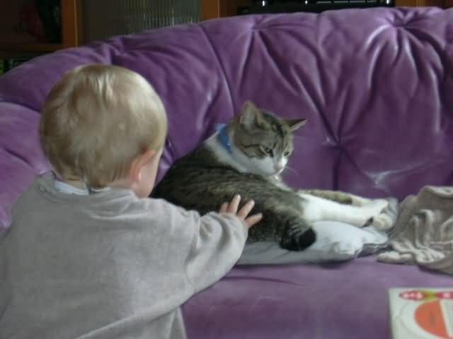 DSCN0180.JPG
